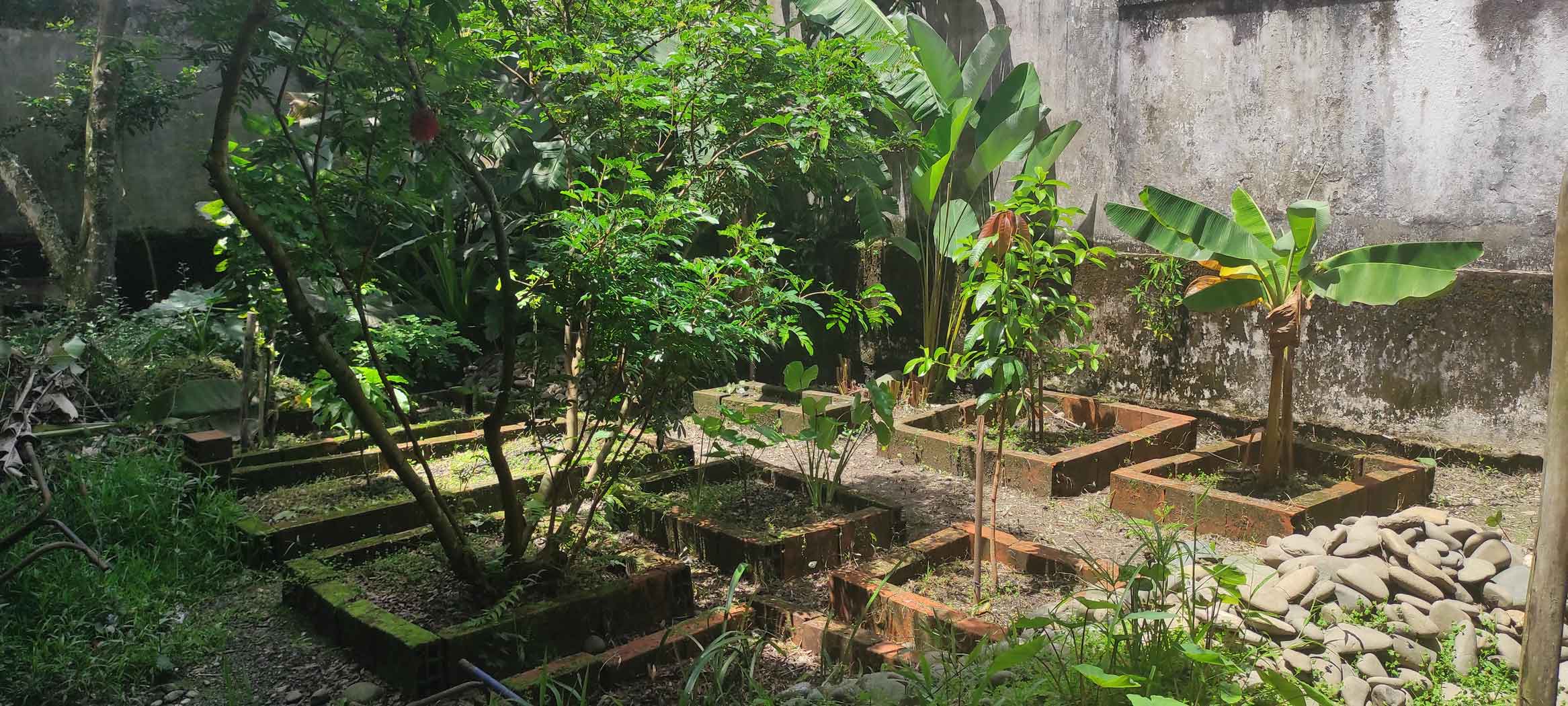 ¡La Huerta! la Primera Biblioteca Verde en la Ciudad de Buenaventura